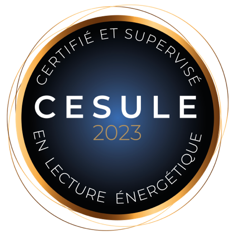 Certifié et Supervisé en Lecture Énergétique et Scan Business